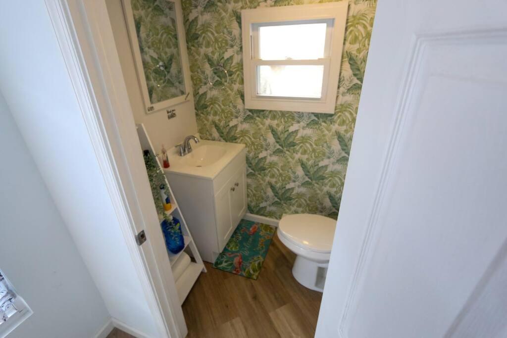 Cozy Modern 3 Bedroom Home In West Philly 필라델피아 외부 사진